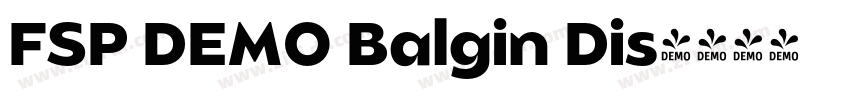 FSP DEMO Balgin Dis字体转换